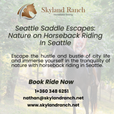 Unleash your adventurous spirit and explore Seattle's wilderness from a new perspective with horseback riding in Seattle. Ride through majestic evergreen forests, across tranquil meadows, and along scenic trails while immersing yourself in the natural beauty.