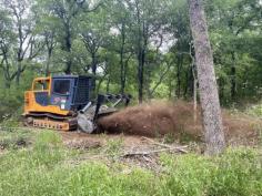 Get professional brush clearing services in Tennessee to transform your property into a pristine landscape. Our experienced team utilizes advanced equipment to efficiently clear overgrown areas, ensuring a clean and tidy environment. Contact us today for a consultation and reclaim your outdoor space with ease.