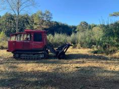 Get expert land clearing services in Virginia, adept at handling rugged terrain and large trees effectively. Our high-powered machinery guarantees meticulous site preparation, brush elimination, cedar tree clearing, and forestry mulching. Contact us now to reclaim your land's natural beauty.