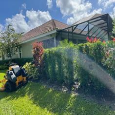 We are a leading provider of lawn care services throughout the Fort Myers and surrounding area of Florida.  Call 239-728-1999 to get commercial or residential lawn care services by the specialists.

http://www.greenleaflawnservices.com/about/
