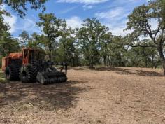 Get professional land clearing services in Texas, covering all your needs from forestry mulching to underbrush removal. Our skilled team utilizes advanced equipment and techniques to clear your property safely and effectively, minimizing environmental impact and maximizing usable space. Contact us today to discuss your land-clearing needs.