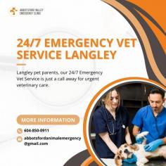 Immediate 24/7 Emergency Vet Service in Langley

Trust Abbotsford Vet Emergency for reliable 24/7 emergency vet service in Langley. Our experienced veterinarians are available round-the-clock to offer immediate and compassionate care for your pets during critical situations. With state-of-the-art facilities and a commitment to exceptional veterinary care, we prioritize your pet's well-being. Count on our dedicated team to provide the highest quality of care for your furry friends in Langley.