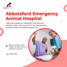 Abbotsford Emergency Animal Hospital is comfortable so pets can relax

As a full-service Animal Hospital In Abbotsford, our staff is trained and has years of experience in treating serious medical conditions of pets. We understand all animals deserve compassionate care and thus we make our Abbotsford Emergency Animal Hospital calm and comfortable so that your pets can relax.