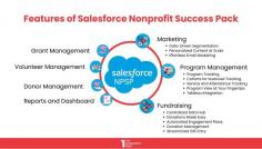 Check out how Salesforce NPSP features can help elevate your Nonprofit's game.