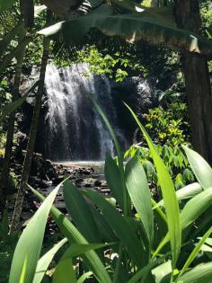 Embark on a journey of renewal with our detox programs at Naveria Heights Fiji. Experience holistic wellness surrounded by Fiji's natural splendor.

https://www.naveriaheightsfiji.com/detox.html