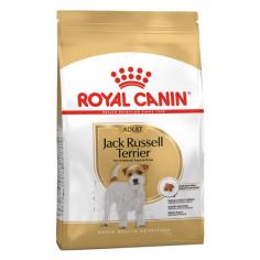 Royal Canin Adult Jack Russell Terrier: This Dry Dog Food formula contributes to maintaining muscle mass and supporting your dog's dental hygiene. Shop Now!
