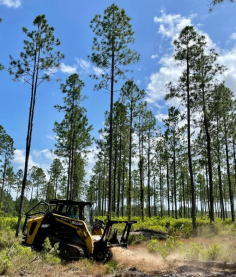 Land Clearing Dare County North Carolina offers top-notch commercial land clearing services in North Carolina. With years of experience and a dedicated team, we specialize in clearing land efficiently and safely, ensuring your commercial project stays on schedule. Trust us for expert land clearing solutions that exceed your expectations.