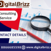 DigitalBrizz is a Leading From the Seo Service and Web Development and Web Design ,Ecommerce Development Service  Wordpress Development Service IT Consulting Service Magento Service
