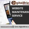 DigitalBrizz is a Leading From the Seo Service and Web Development and Web Design ,Ecommerce Development Service  Wordpress Development Service IT Consulting Service Magento Service
