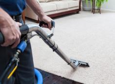 Experience top-notch global carpet cleaning services tailored to your needs. Our professional rug and carpet cleaners use advanced techniques in Palm Beach County
