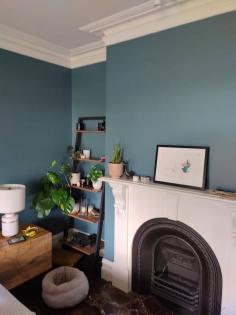 Enterprises Painting and Decorating is the right place for you if you are looking for the Best service for Interior Painting in Epping. Visit them for more information. https://maps.app.goo.gl/qxuVVE9mSehiPbVc8