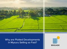 Confused whether you should buy a residential plotted development in mysuru or not. learn key reasons why buying a plot in mysore is a good investment idea.