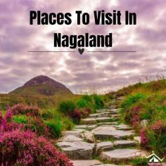 Nagaland offers a wealth of captivating destinations for travelers. Among the must-visit places in Nagaland are Kohima, where you can witness the historic War Cemetery and vibrant Hornbill Festival. Trek through the stunning Dzukou Valley and Japfu Peak for breathtaking natural beauty. Discover the rich cultural heritage of the Ao tribe in Mokokchung, and experience the unique traditions of the Konyak tribe in Mon.
Read More: 