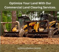 Optimize your commercial property's potential with our commercial land-clearing services in Comanche-County. Our seasoned professionals adeptly clear fence line, residential land, debris, and obstacles, delivering pristine sites for your ventures. From modest lots to expansive developments, entrust us with your project's efficiency and reliability needs for unparalleled results.

Visit this link for more information: 
https://underbrushclearing.com/comanche-county-land-clearing/