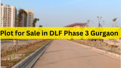The proximity of the DLF Phase 3 Plot for sale to major business centers, IT parks, and corporate offices also makes it an ideal option for professionals looking for a hassle-free commute. With excellent road and public transport connectivity, you can easily navigate your way around the city, finding the right balance between work and life.
https://www.indiapropertydekho.com/property/28354/Plot-For-Sale-In-DLF-Phase-3-Gurgaon
