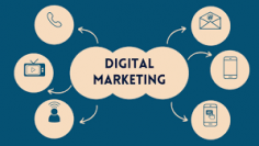 In a business Digital Marketing is very much impotant for the growth of business. It can come in any form either in the form of SEO, Social Marketing, or running Google Ads. It is a way to invest minimum amount for your brand visibility, wider search, and high level engagement. Dazonn technologies provides a whole digital marketing package according to your requirments. Get in touch with us and customize your package now, call us at 7894271374 or visit our official website www.dazonn.com