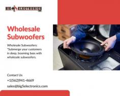 Wide collection of high-quality wholesale subwoofers available at Big5electronics.com

Big 5 Electronics subwoofer distributor proudly offers its products through a carefully selected Authorized brand networklike Plant Audio, Polk Audio, Rockford Fosgate & more. We carry high-quality marine speakers and wholesale subwoofers for every type of budget. We stock amplifiers, subwoofers, speakers, and more!