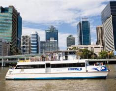 If you’re planning a visit to the famous Lone Pine Koala Sanctuary, then a Mirimar cruise from Brisbane should be your choice of transport. They’ve been taking guests to the sanctuary for more than 70 years and it is the perfect alternative to driving. Entry is included with your cruise ticket and as a bonus, you get to enjoy the stunning scenery of Brisbane River. Book your tickets online for the best prices.
