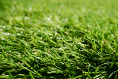 Want to know about Laying Artificial Grass? Read blogs on Artificial Grass GB!

Compared to natural grass, artificial grass is significantly more durable. Artificial grass may be just what you're searching for if you want a flawlessly beautiful lawn that looks just like the genuine thing but requires far less maintenance. Looking for Laying Artificial Grass? Visit Artificial Grass GB and read their blogs online on How to clean artificial grass and keep it looking its best.