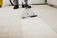 Discover the secret to immaculate carpets with Agentsadvise's Bucks County Carpet Cleaning services. Our expert team employs advanced techniques to remove stains and revitalize fibers, ensuring a fresh and inviting atmosphere in your home. Experience the luxury of impeccably clean carpets today.     For More Information Click Here :-     https://agentsadvise.com/bucks-county-carpet-cleaning.php