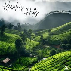 Explore Kerala's enchanting hill stations, where misty mountains and verdant landscapes beckon. From the colonial allure of Munnar to the serene tea gardens of Wayanad, these hill stations provide a tranquil escape amidst nature's beauty, ideal for rejuvenating the spirit and escaping urban chaos.
Read More: https://wanderon.in/blogs/hill-stations-in-kerala