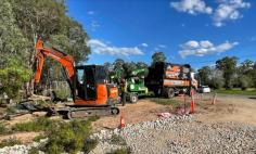 As tree care specialists in South Brisbane, we pride ourselves on our commitment to sustainable tree care, ensuring tree preservation in South East Queensland. Our team is well-versed in tree root management, tree shaping, and tree canopy thinning, making us the go-to tree maintenance experts in the region.