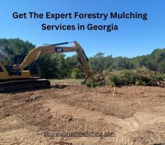 Revitalize your land with our expert forestry mulching services in Georgia. Our state-of-the-art equipment and the experienced team transform overgrown areas into pristine, maintained landscapes, enhancing property value and accessibility. Contact us today for more information.

Visit this link for more information: https://georgiabrushmulching.com/ace-georgia-brush-mulching-services/