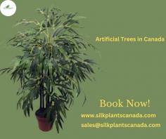 Looking for artificial trees & Silk Trees in Canada? Our extensive collection features varieties suitable for any climate, indoor and outdoor. Perfect for adding a touch of green without the upkeep, our artificial trees offers finishing and realism unmatched in the market. Get yours now!