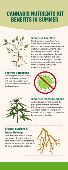 Elevate your cannabis cultivation with premium organic nutrients for cannabis from Indogulf BioAg. Their organic formulations provide the essential nutrients your plants need for healthy growth and abundant flowering. I've seen firsthand the transformative effects of their products, with healthier plants and higher yields. With their trusted certification and customizable formulations, Indogulf BioAg is my top choice for organic cannabis nutrients.


Here is the link to order your product:	
https://www.indogulfbioag.com/specialised-crop-kits-budmax
