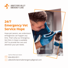 Reliable 24/7 Emergency Vet Service in Hope


Rely on Abbotsford Vet Emergency for reliable 24/7 emergency vet service in Hope. Our dedicated team of veterinarians is available around the clock to provide immediate and compassionate care for your pets during critical situations. With state-of-the-art facilities and a commitment to exceptional veterinary care, we prioritize your pet's well-being. Trust our experienced professionals to be there for your furry companions when they need us the most.
