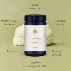 Experience the transformative power of Lion's Mane extract with SuperFeast. Sourced from the pristine mountains of Northeast China and prepared using ancient Dì Dào practices, it enhances memory, focus, and overall neural health. Elevate your cognitive abilities while nurturing emotional well-being and boosting immunity. Perfect for professionals and students, it's a natural solution for staying sharp in our fast-paced world. Embrace nature's brain booster for a sharper, more focused you.  Visit Here: https://www.superfeast.com.au/products/lions-mane-mushroom-powdered-extract