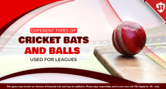 Ready to elevate your game? Explore the world of cricket bats and balls with Vision11! From elite English Willow to budget-friendly Kashmir Willow, find your perfect match. Enhance your skills with training bats and discover the nuances between cricket ball types. Step onto the field prepared!