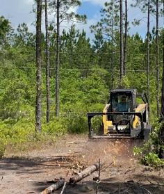 Discover top-tier commercial land clearing services in Gainesville, Florida, provided by Florida Land Clearing. Trust our experienced team to enhance your development projects with efficient solutions tailored to your needs.