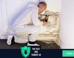 Termite control is a complex process requiring in-depth knowledge of both government regulations and pest control management. At The Pest And Termite Co., our skilled technicians are fully licensed to perform a variety of termite treatments for your home or business. Our family-owned business believes in providing affordable, high-quality, bespoke solutions and is the key to excellent customer service. Don’t just take our word for it, experience it for yourself.