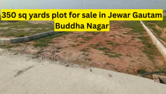 Located in the fast-developing Jewar area of Gautam Buddhadeo Nagar, these Pal Real Group plots for Sale in Jewar offer you the chance to invest in the prime residential area of Jewar. These plots offered by Pal Real Group come with several attractive features and benefits that are designed to provide you with a high quality of living.

