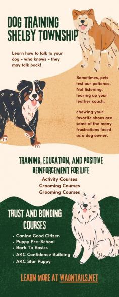 Training, Education and Positive Reinforcement For Life. Not Sure Where To Begin? Schedule a Free 15 Minute Strategy Session.
https://wagntails.net/