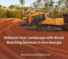 Explore how brush mulching services in Ace Georgia can transform your landscape by removing overgrown vegetation, creating a safer environment, and improving the overall aesthetics of your property. Contact us today for more information!

Visit this link for more information: 
https://georgiabrushmulching.com/ace-georgia-brush-mulching-services/