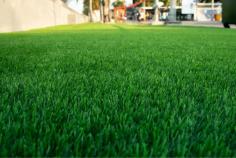 Looking to revamp your patio or deck space? Buy Black Fake Grass!

The year-round lush beauty of artificial turf, as well as its resilience in any sort of weather-are two of the most compelling reasons to choose it. Check out Artificial Grass GB and get high-quality and durable Black Fake Grass, they have the most high-quality and affordable products that’ll surely fit your requirements.