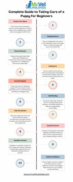 A new puppy is a cheerful and exciting experience to bring home. However, it also comes with great responsibility. As a beginner, you may feel overwhelmed by the tasks involved in caring for your furry friend. But fret not! This complete guide will walk you through everything you need to know to ensure your puppy’s health, happiness, and well-being.

<a href="https://mrvethospitals.com/" rel="dofollow">Visit Mr.Vet Hospital</a>
