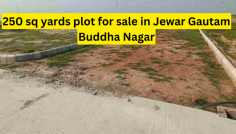 At 250 sq yards, Vasant Kunj Plots for Sale in Jewar this development in Jewar has been DTCP approved by the DTCP, which indicates the trustworthiness and legality of the project. The DTCP approval ensures that the project is compliant with the relevant regulatory standards, making it a safe and future-oriented investment.