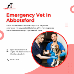 Emergency Vet In Abbotsford is available to help your pets

We have a team of Emergency Vet In Abbotsford who can help you 24 hours to manage the health problems of your vet and bring them back in great shape. Our Animal Hospital Abbotsford offers additional services including radiology, ultrasound, and breeding consultations. Call us today.