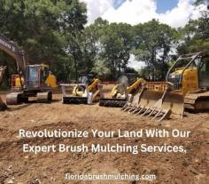 Revolutionize Your Land With Our Expert Brush Mulching Services.
Revolutionize your land with our expert brush mulching Services in Florida. We efficiently clear overgrown vegetation, leaving behind a neat, tidy, and rejuvenated landscape. Trust our experienced team to transform your Florida property hassle-free.

Visit this link for more information:https://floridabrushmulching.com/forestry-mulching-services-edwards-county-florida/