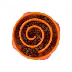 Encourage healthy eating habits with the Outward Hound Fun Feeder Slow Bowl for dogs. This bowl prevents bloat and improves digestion. Shop now at VetSupply.
