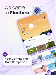 Plantora is a free plant identifier and best plant care app that provides a one-stop solution for all the problems you face with your plants and you can get the solution to your problems in just a few clicks. Plantora uses state-of-the-art technology to easily identify any plant species with high accuracy and speed. With Plantora’s plant identifier, you can also identify any plant disease or symptoms of diseases. Plantora is capable of recognizing over 10,000 plants with up to 95% accuracy, a name search to find species easily by entering their names, with a simple and beautiful interface. And the database of the plant identifier is getting bigger and stronger every day. Get Plantora - a plant identifier and care app to become an expert in taking care of your garden.