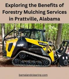 Exploring the Benefits of Forestry Mulching Services in Prattville, Alabama

Discover how forestry mulching services in Prattville, Alabama can help landowners clear land efficiently, reduce fire hazards, and promote healthy forest growth. Learn about the environmental and economic advantages of this innovative land management technique.Visit our website for more information.

Visit this link for more information: 
https://bamalandclearing.com/land-clearing-services-prattville-alabama/
