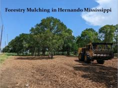 Ready to clear your land efficiently and responsibly? Choose Land Clearing Service Mississippi for Professional Mulching Land clearing in Hernando Mississippi. Our skilled technicians utilize advanced techniques to provide thorough and eco-friendly clearing solutions. Clear with confidence—contact us now.
