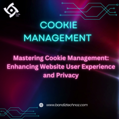 https://www.bandiztechnoz.com/products/cookie-consent/