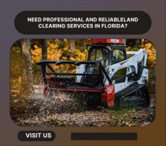 Look no further than our team of expert land clearing contractors in Florida. We offer Professional and Reliable Land Clearing services in Florida for residential and commercial properties, including tree removal, stump grinding, excavation, grading, and more. With years of experience and state-of-the-art equipment, we'll get the job done efficiently and safely. Contact us today for a free estimate.