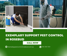 Reclaim your Rosebud oasis! Our expert pest control team vanquishes invading critters, restoring your home's tranquility. Trust us to eliminate unwanted guests and safeguard your sanctuary. Click https://samedaypestcontrolrosebud.com.au/ to learn more.