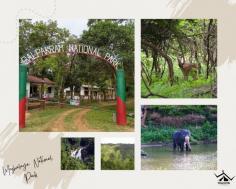 Explore the legends, unique flora and fauna, and things to do at the mysterious Balpakram National Park. Offbeat side of Meghalaya.
Read More : https://wanderon.in/blogs/balpakram-national-park